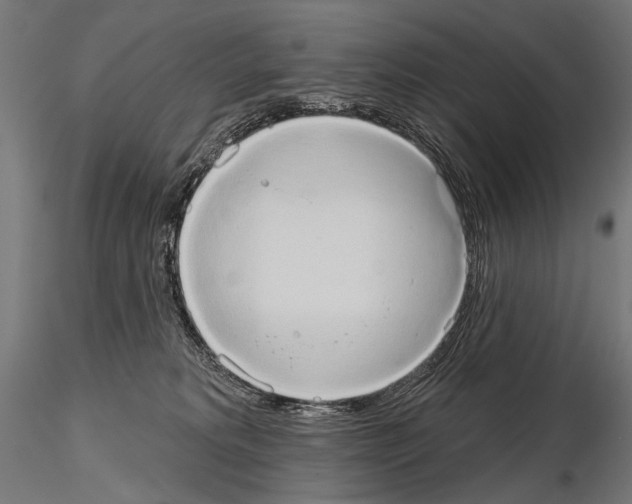 X0000115170229200912091031