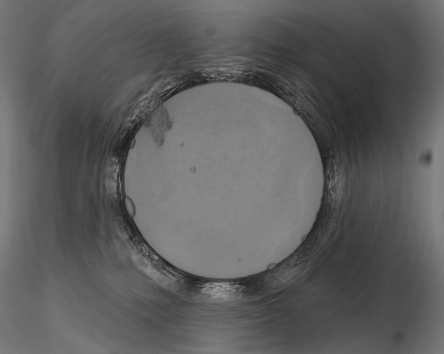 X0000115170231200912091031