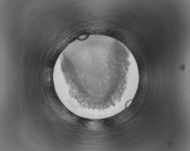 X0000115170232200912091031