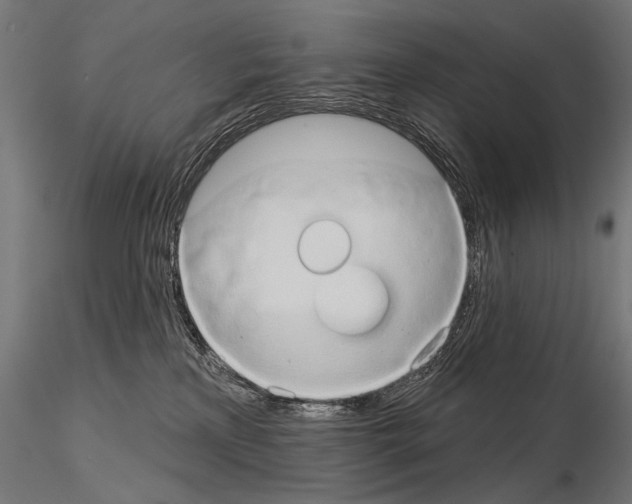 X0000115170233200912091031