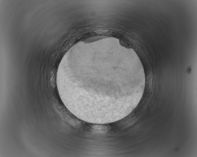 X0000115170234200912091031