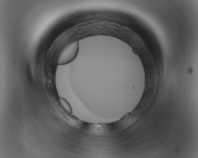 X0000115170239200912091031