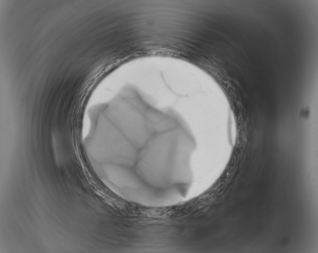 X0000115170241200912091030