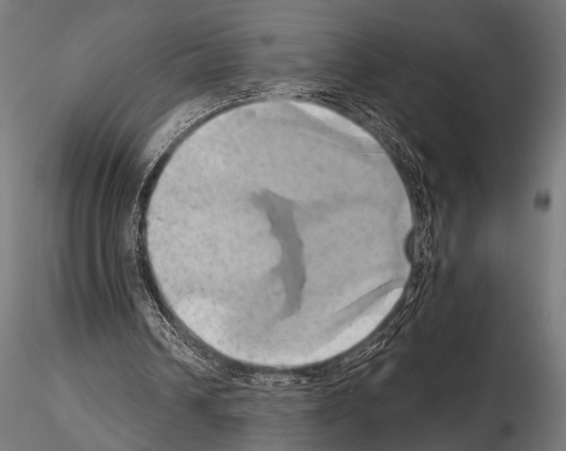 X0000115170242200912091030