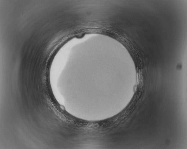 X0000115170243200912091030