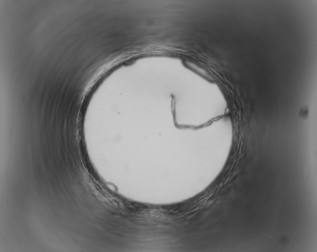 X0000115170244200912091030