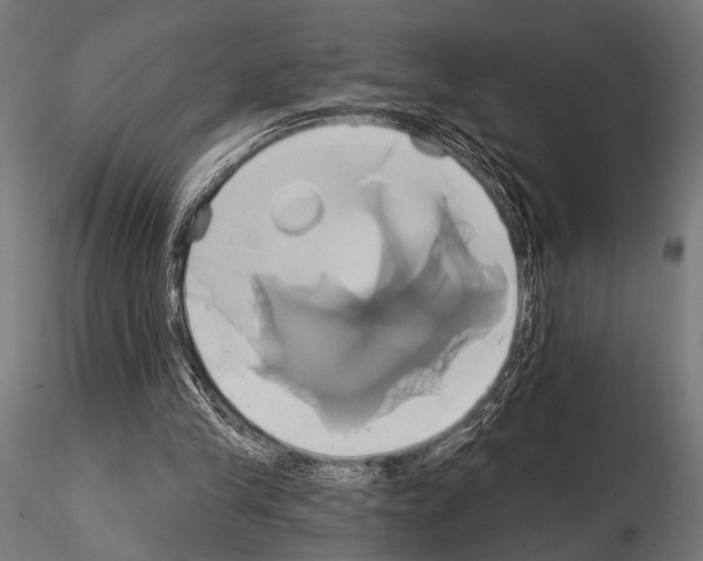 X0000115170245200912091030