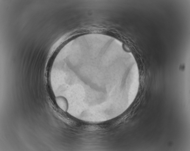 X0000115170246200912091030