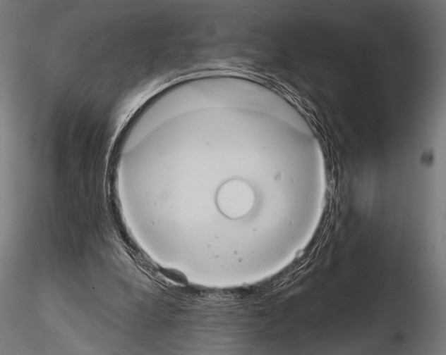 X0000115170248200912091030