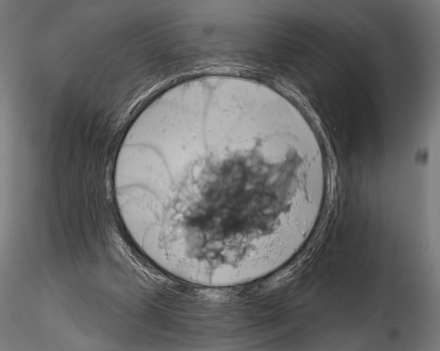 X0000115170249200912091030