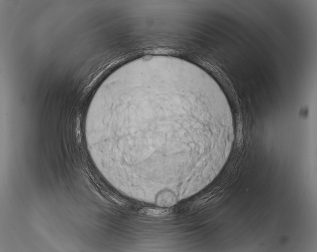 X0000115170251200912091030