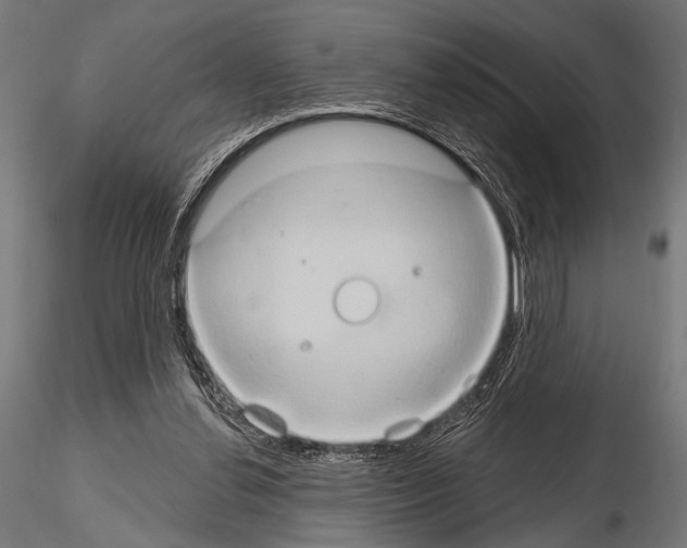 X0000115170252200912091030