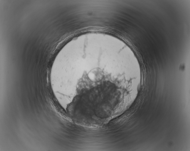 X0000115170253200912091030