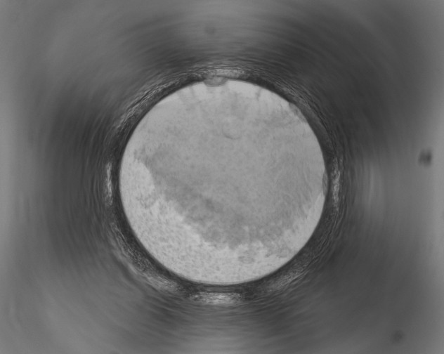 X0000115170254200912091030