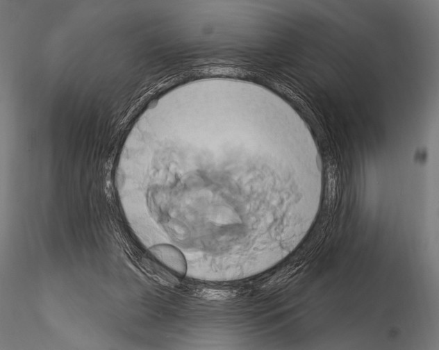 X0000115170255200912091030