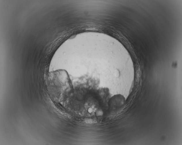 X0000115170257200912091030