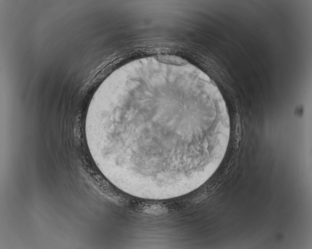 X0000115170258200912091030