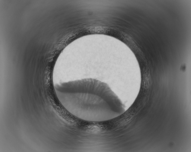 X0000115170259200912091030