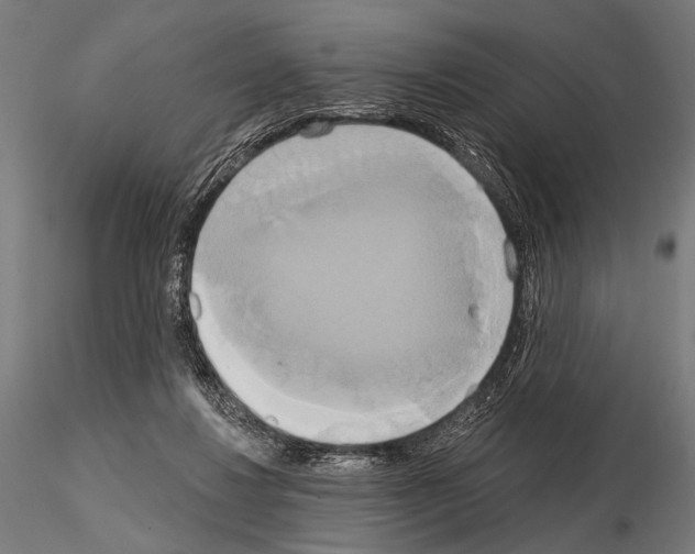 X0000115170260200912091030