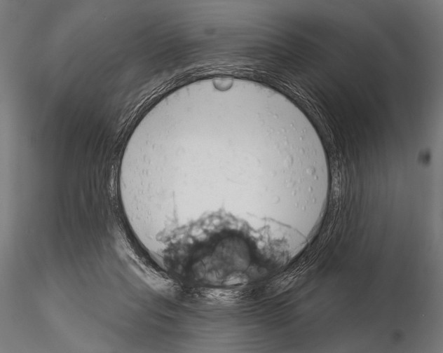 X0000115170261200912091030