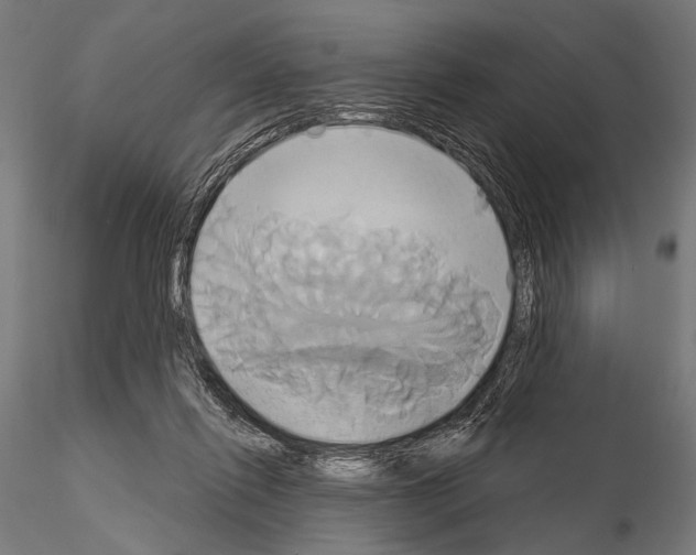 X0000115170262200912091030