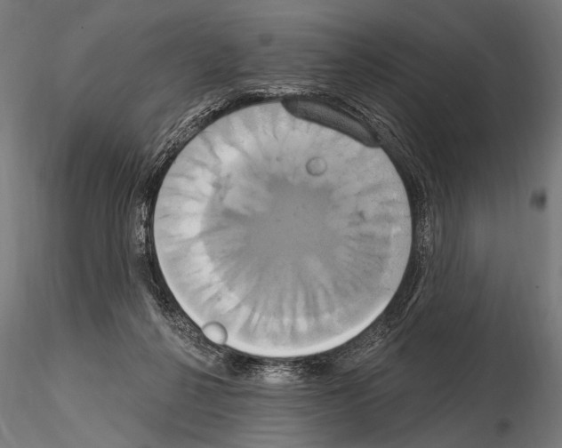 X0000115170264200912091030