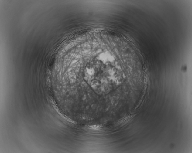 X0000115170265200912091030