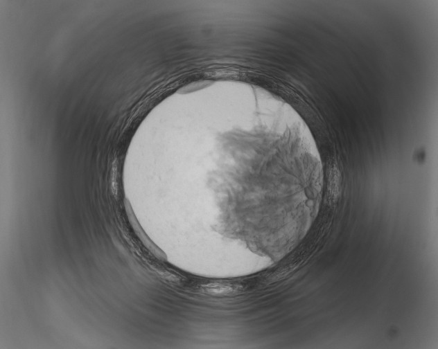 X0000115170267200912091030