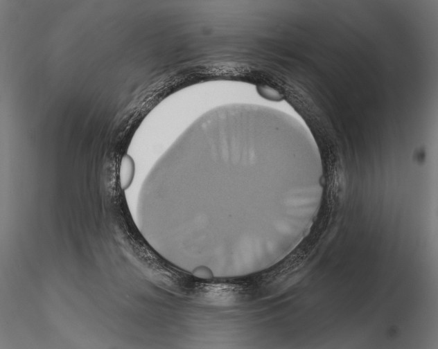 X0000115170268200912091030