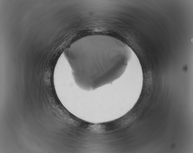 X0000115170269200912091030