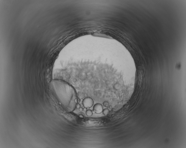 X0000115170270200912091030