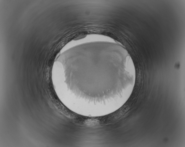 X0000115170271200912091030