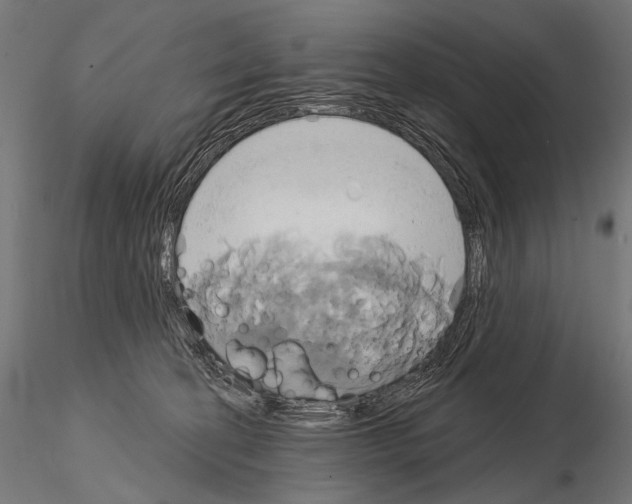 X0000115170274200912091030