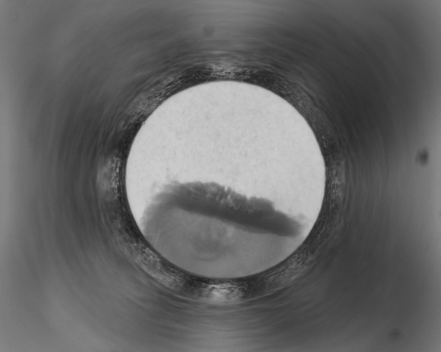 X0000115170275200912091030