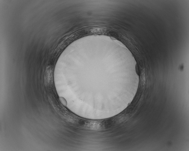 X0000115170276200912091031