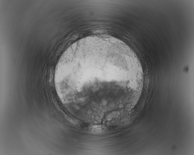 X0000115170277200912091031