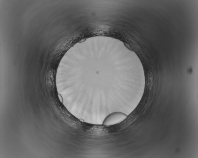 X0000115170280200912091031