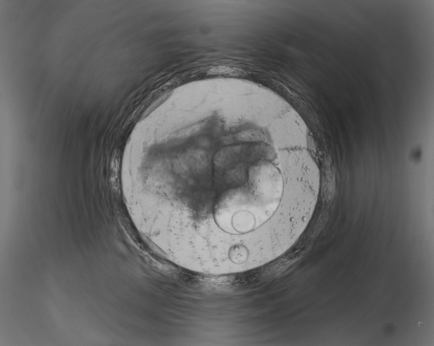 X0000115170281200912091031