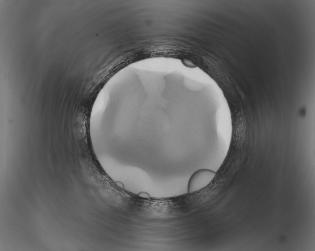 X0000115170282200912091031