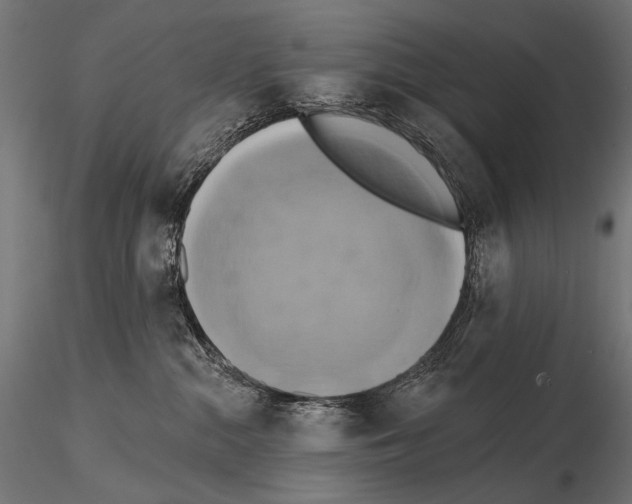 X0000115170284200912091031