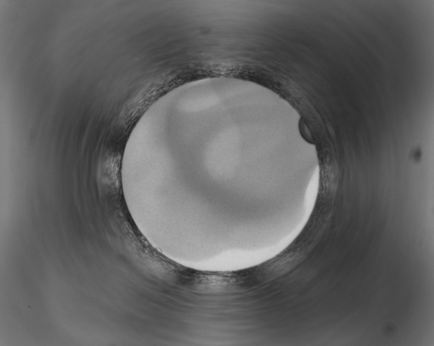 X0000115170286200912091031