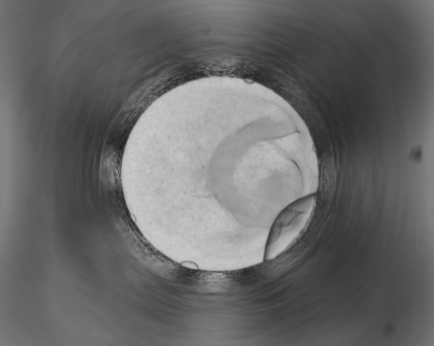 X0000115170287200912091031