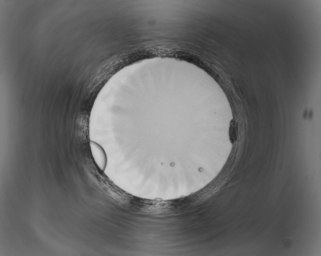 X0000115170288200912091031