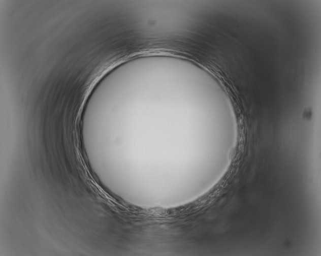 X0000115170289200912091030