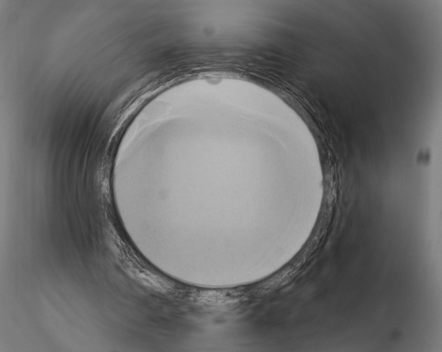 X0000115170290200912091030