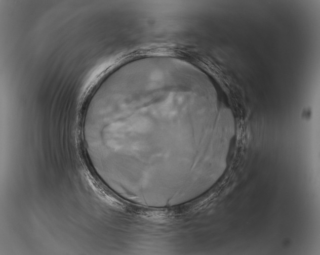 X0000115170293200912091030