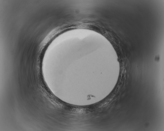 X0000115170295200912091030