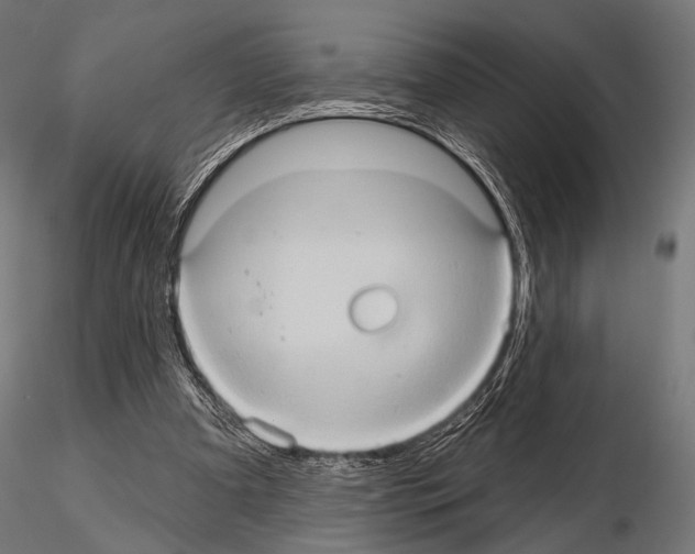 X0000115170297200912091030