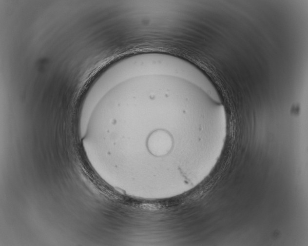 X0000115170302200912091030