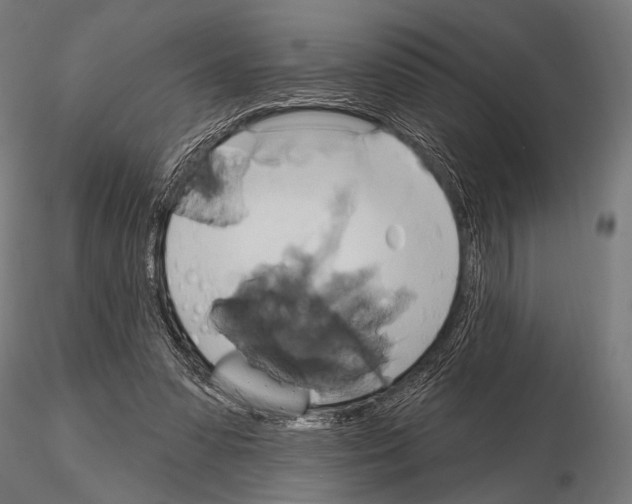 X0000115170303200912091030